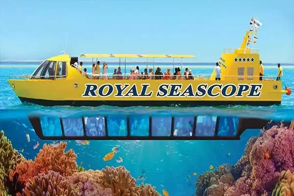 Korallenriff mit Fischschwarm im Roten Meer